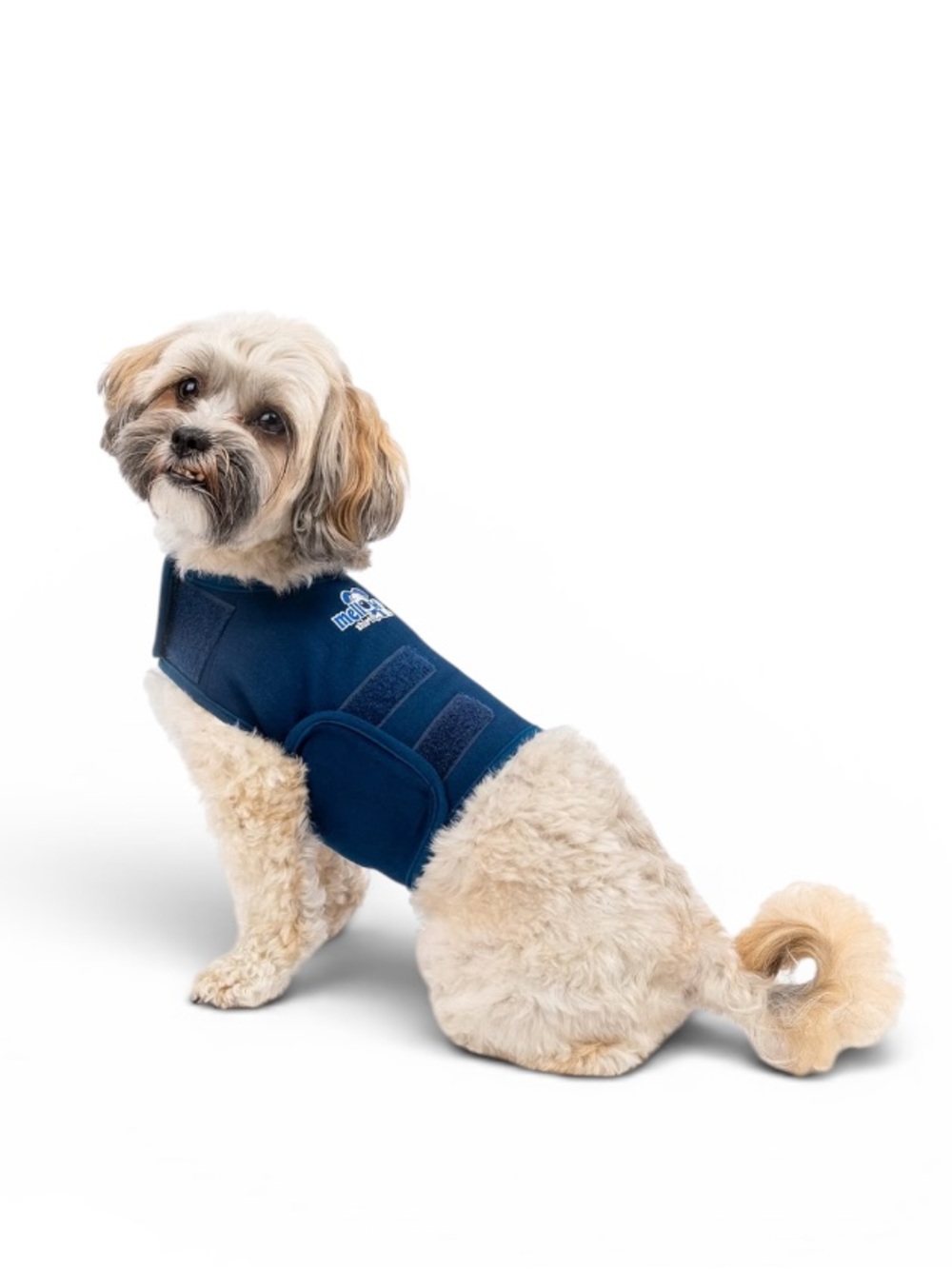 Mellow Pet Vibrant Orchid Anxiety Shirt and Multi-color Collar Set - Picture 2 of 8